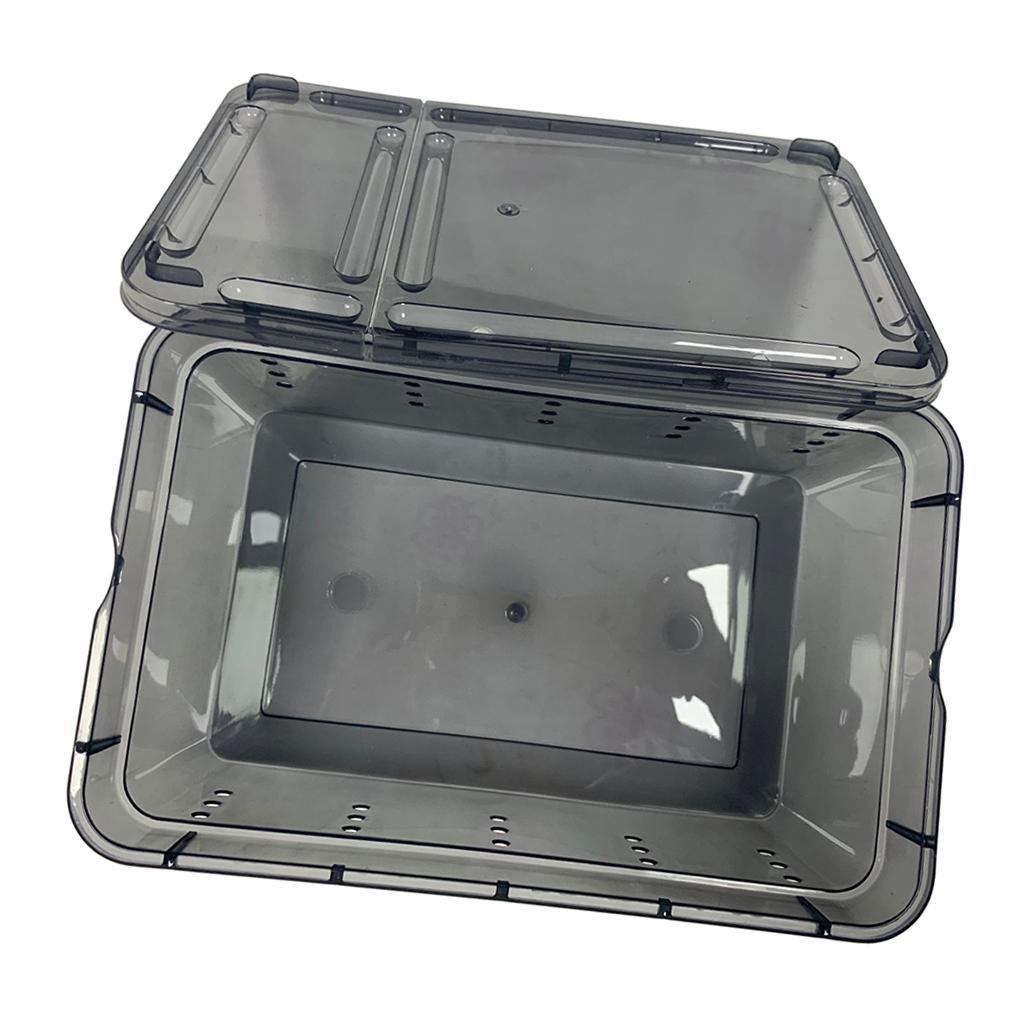 Reptile Breeding Box Spider Feeding Hatching Tank Black