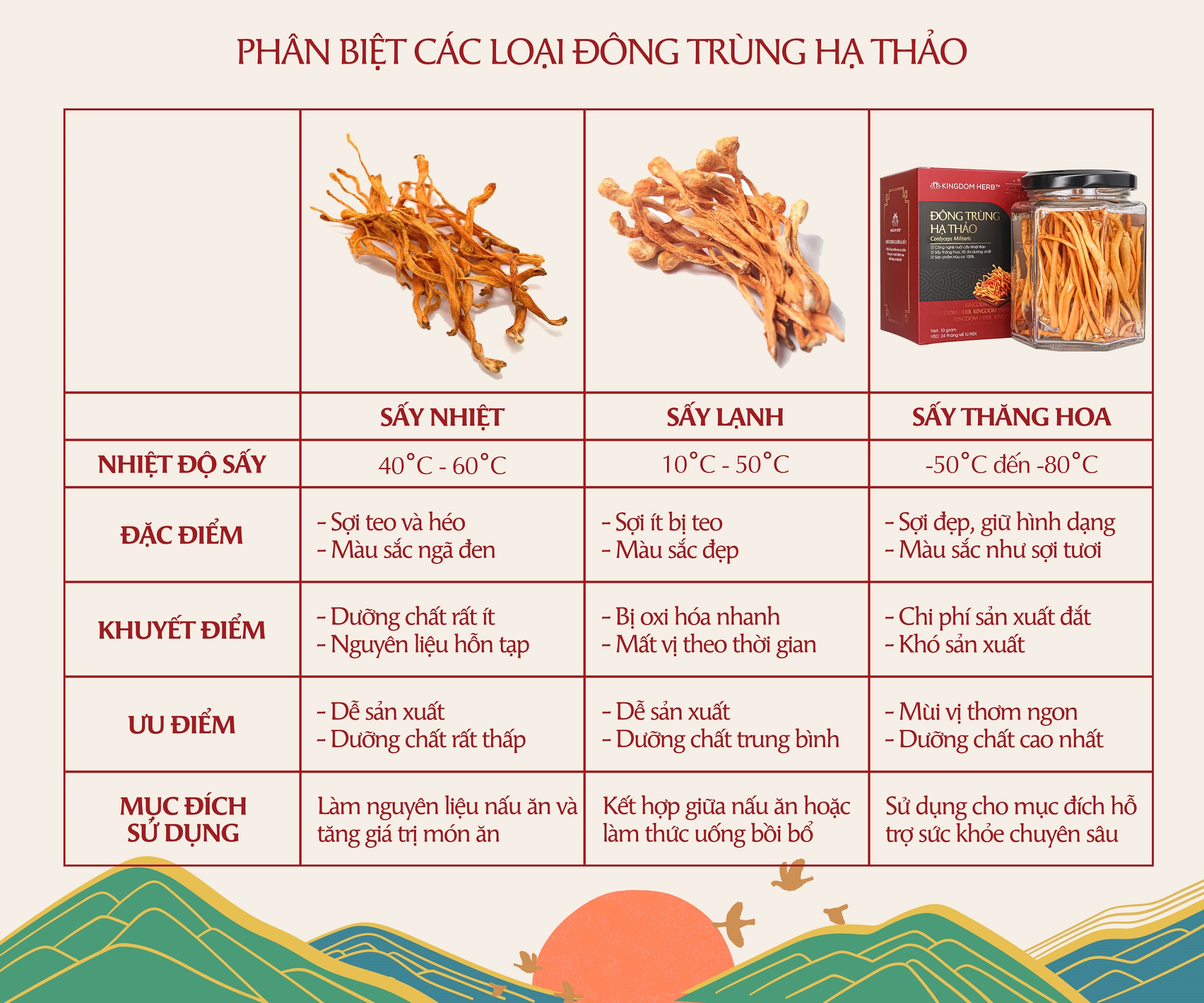 Đông trùng hạ thảo Kingdom Herb chính hãng loại thượng hạng sấy thăng hoa hộp 10 gram