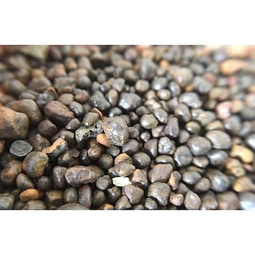 Sỏi Suối Nâu Tự Nhiên - Trang Trí Hồ Thuỷ Sinh, Tiểu Cảnh 1kg