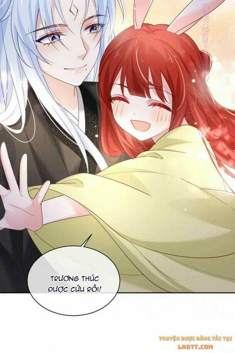 hắc hóa nam chính trực tuyến nuôi thỏ chapter 52 7