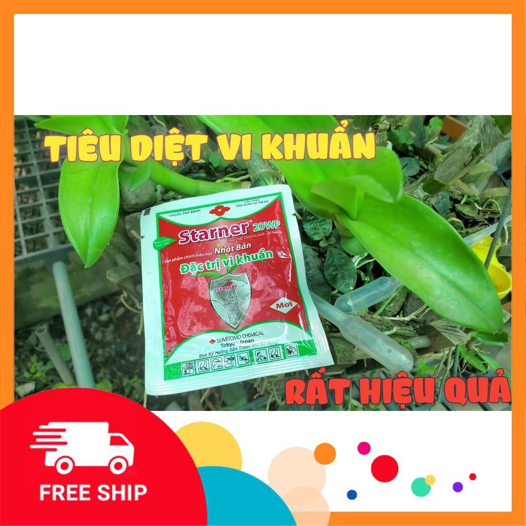 Bộ 3 SẢN PHẨM CHỐNG THỐI NHŨN, VI KHUẨN TRÊN PHONG LAN 3 STARNER + 1 ANTRACOL +1 KIN-KIN BUL