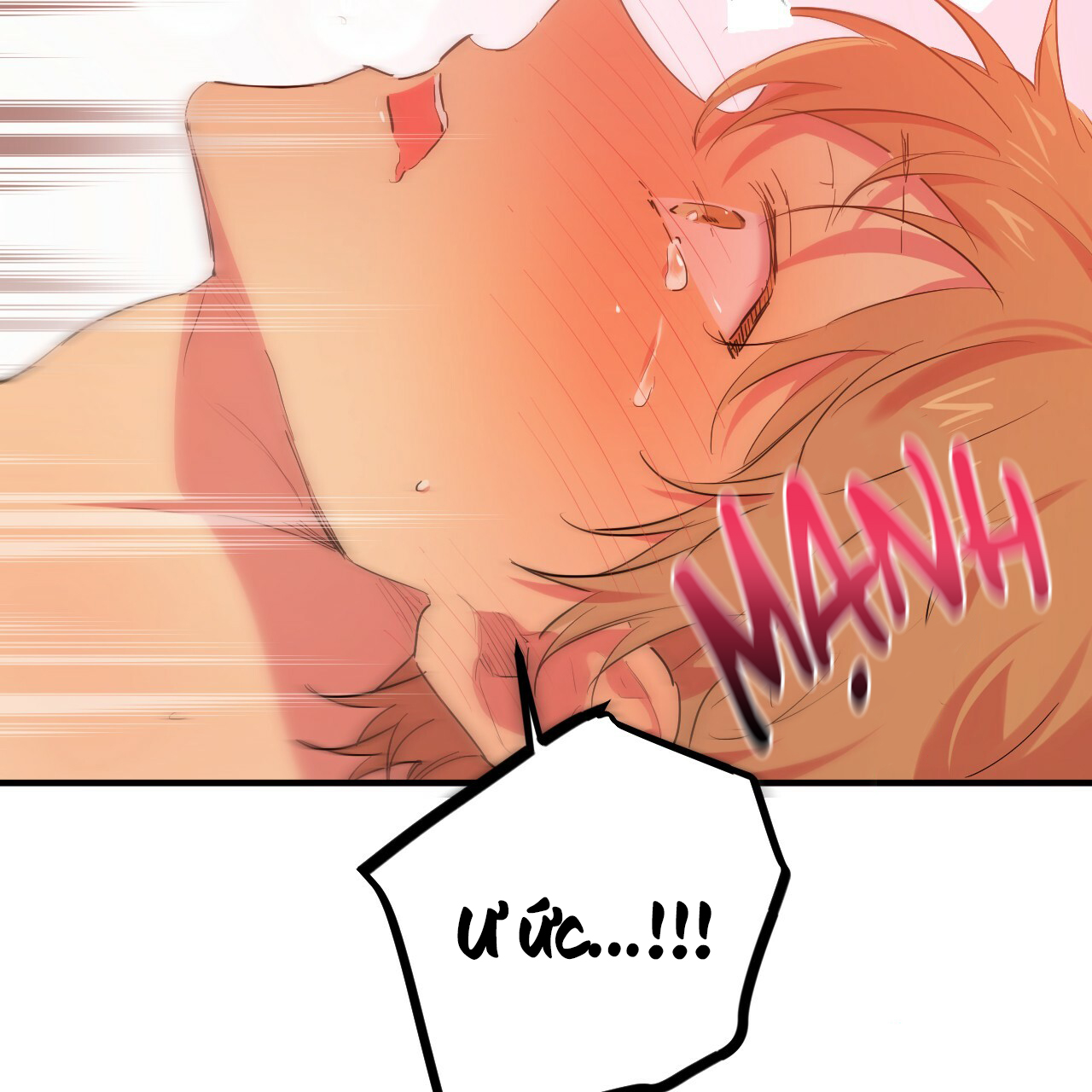 những chú thỏ của hapypy chapter 11 124