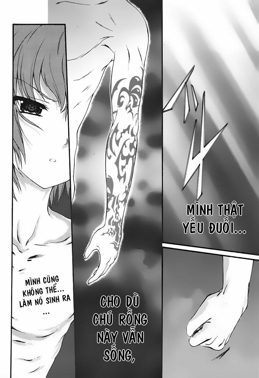 seikoku no dragonar chapter 1 41