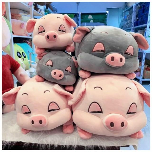 Bộ chăn gối gấu bông heo phê cần, gấu bông kèm chăn 3in1 chất vải miniso