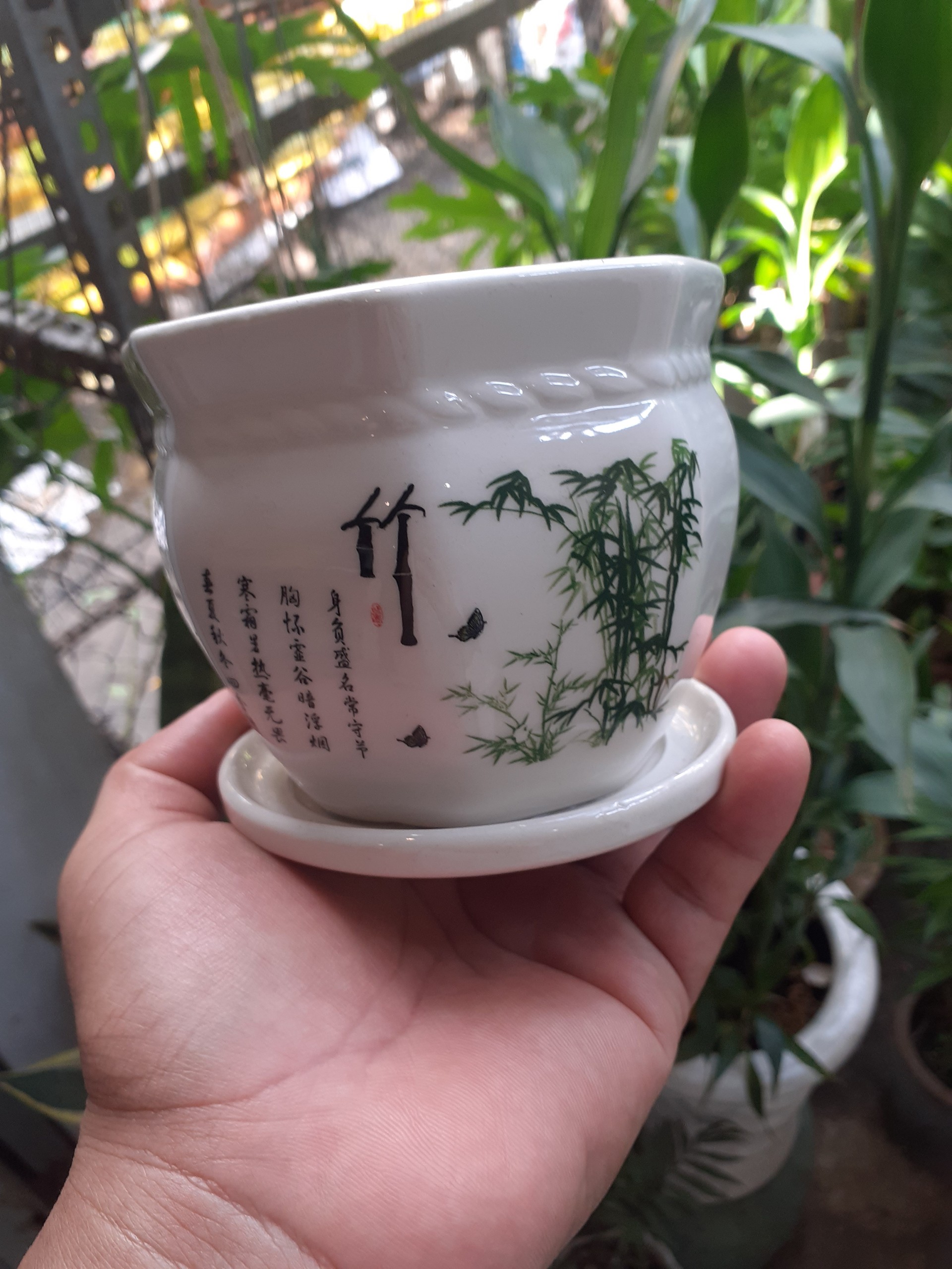 Chậu sứ kèm dĩa thơ thuỷ trúc bát giác đẹp tinh khiết