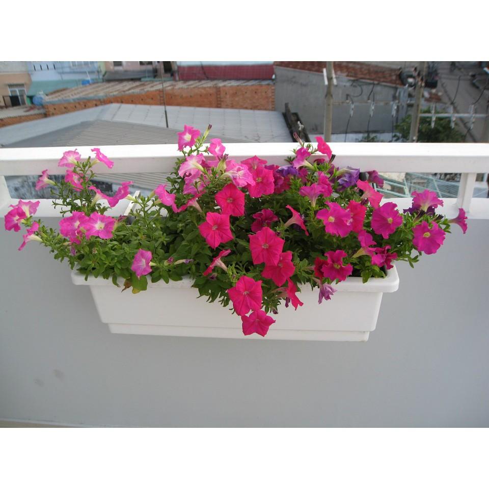 Combo 3 bộ giá sắt móc ban công + chậu hình chữ nhật dài 48cm x rộng 19,5cm x cao 16cm
