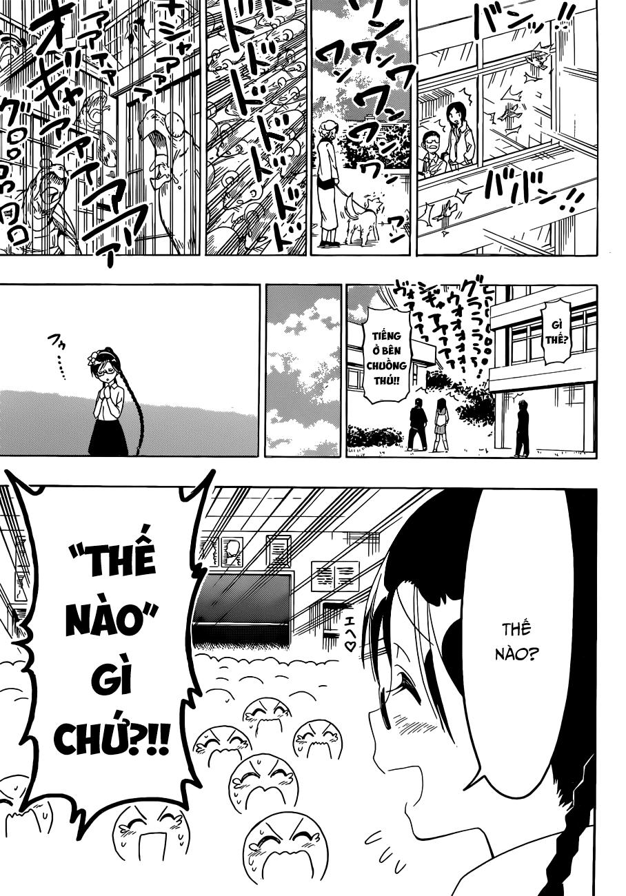 nisekoi - tình yêu giả tạo chapter 135 6