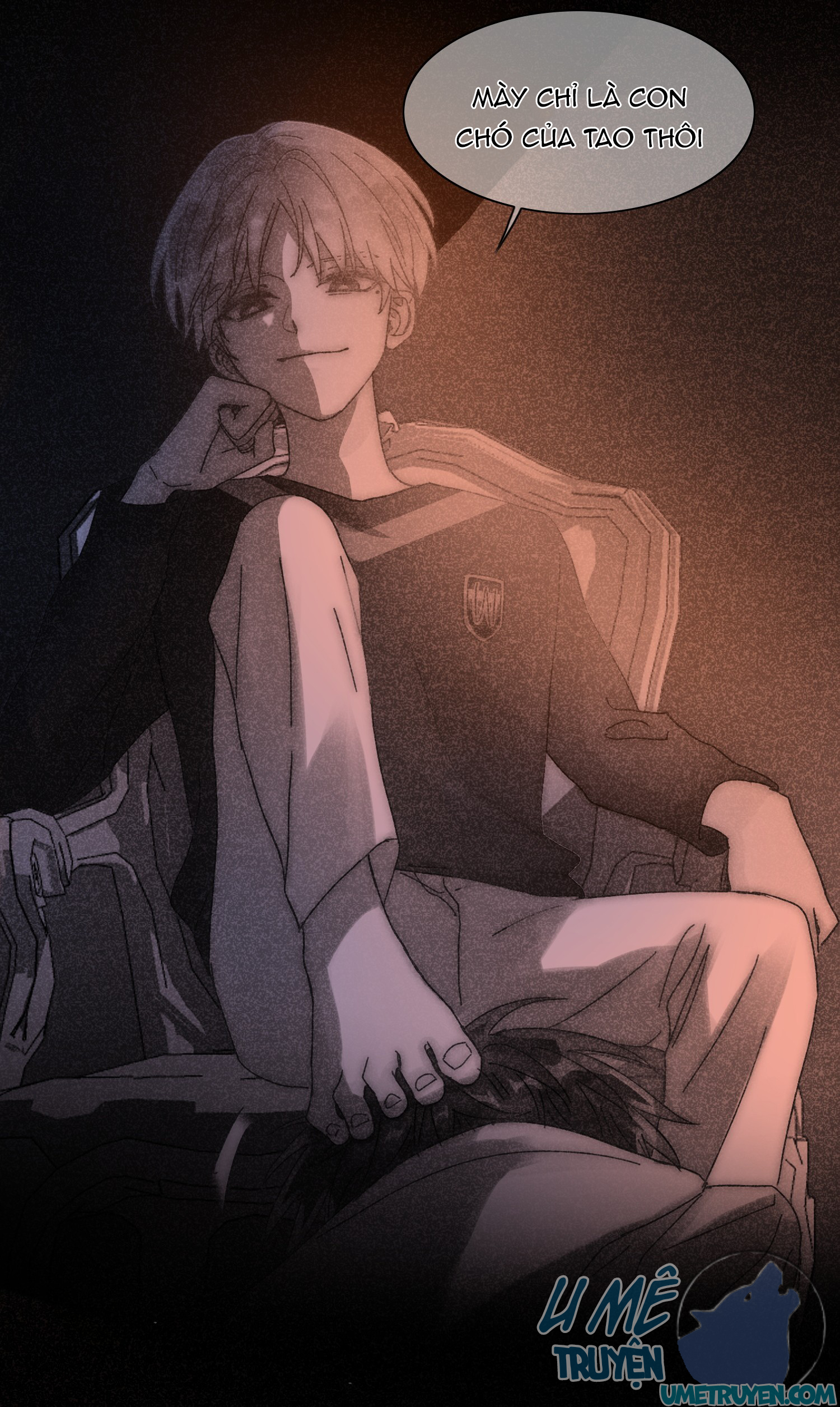 tôi phải làm một kẻ đại xấu xa chapter 11 2