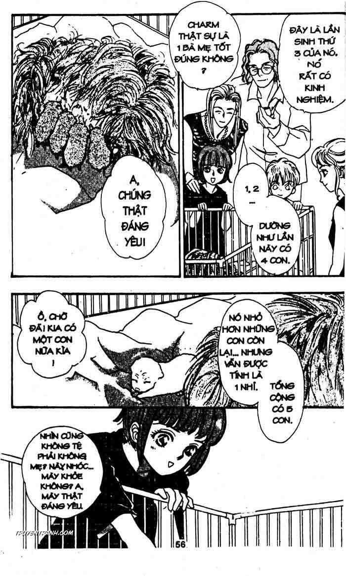 petshop of horrors chapter 25 4