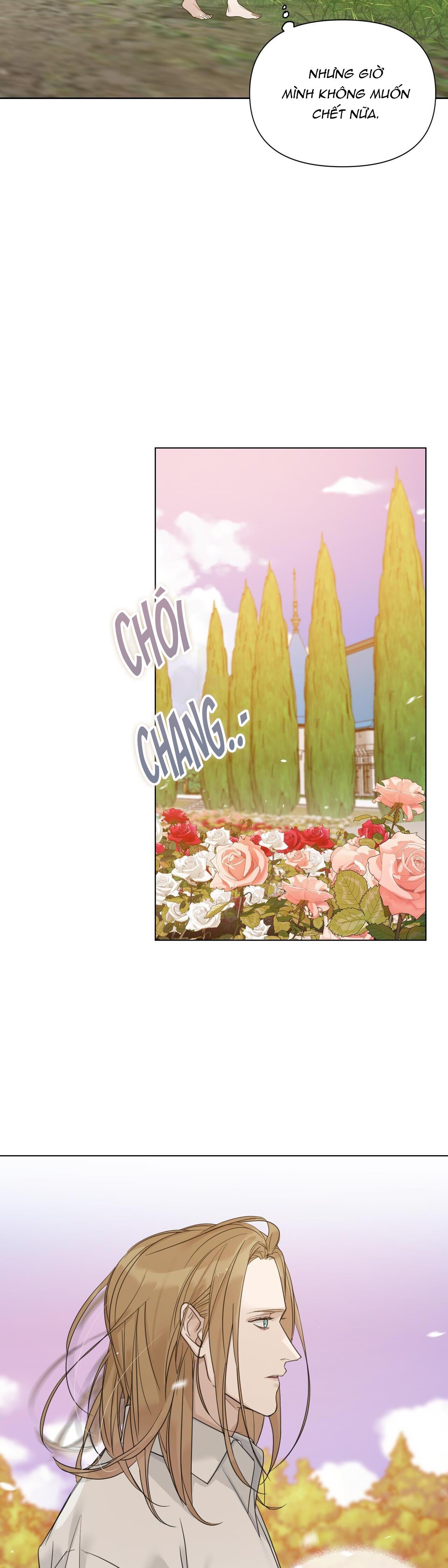 bước vào vườn hồng chapter 16 39