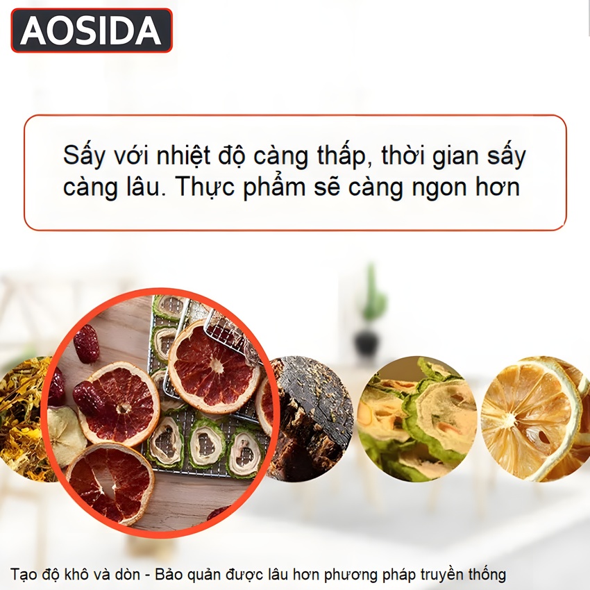Máy sấy thực phẩm công nghiệp thương hiệu cao cấp AOSIDA SS-24H 24 khay - Dung tích 215L - Hàng Chính Hãng