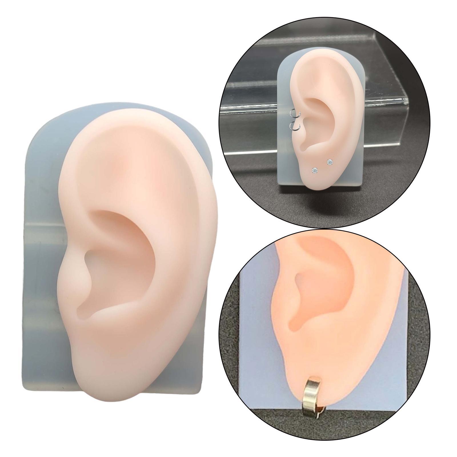 2Pcs Human Body Part Model Flexible Mold for Piercing Exercises Ears
