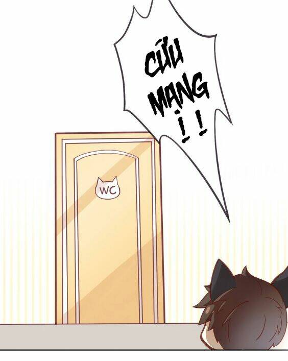 miêu trảo chi hạ chapter 1 28