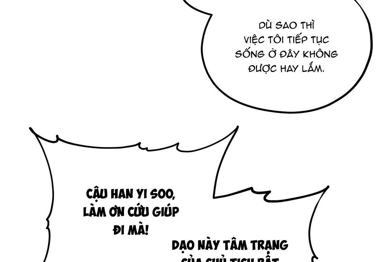 chàng dâu nhà họ kang chapter 5 88