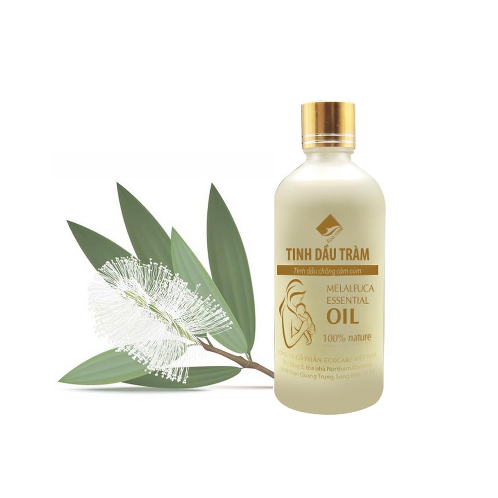 Tinh dầu Tràm Gió chống cảm cúm, kháng khuẩn thương hiệu Ecocare )