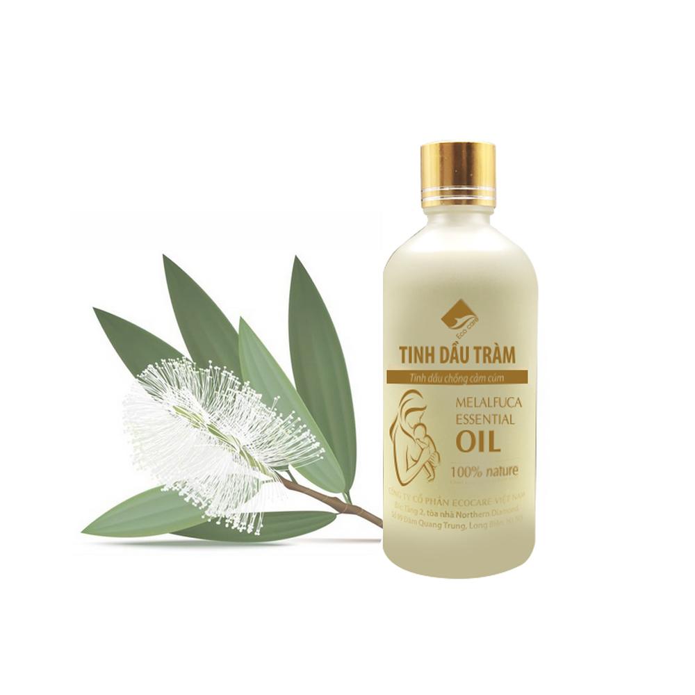 Tinh dầu Tràm Gió chống cảm cúm, kháng khuẩn thương hiệu Ecocare (chai 100ML))