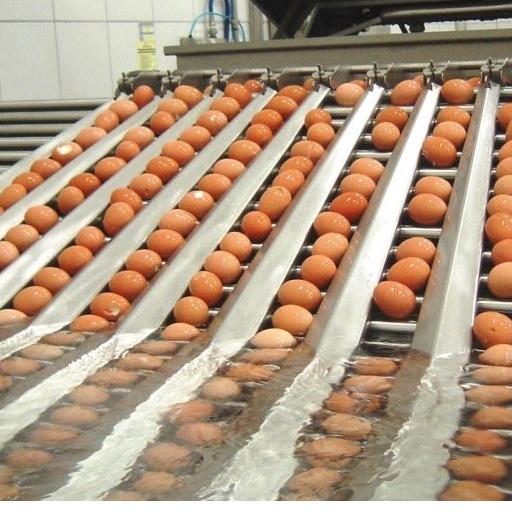 Bột Lòng Trắng Trứng Nguyên Chất Ovovita Thùng 25kg. Hàng Chất Lượng Nhập Khẩu Giá Tốt