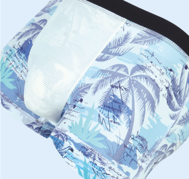 Quần Lót Nam Kháng Khuẩn Cotton Boxer Bằng Lụa Mẫu Ngẫu Nhiên - Hàng Nhập Khẩu