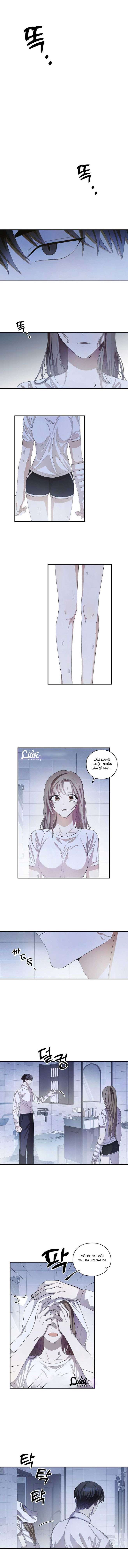 chuỗi thức ăn chapter 15 1