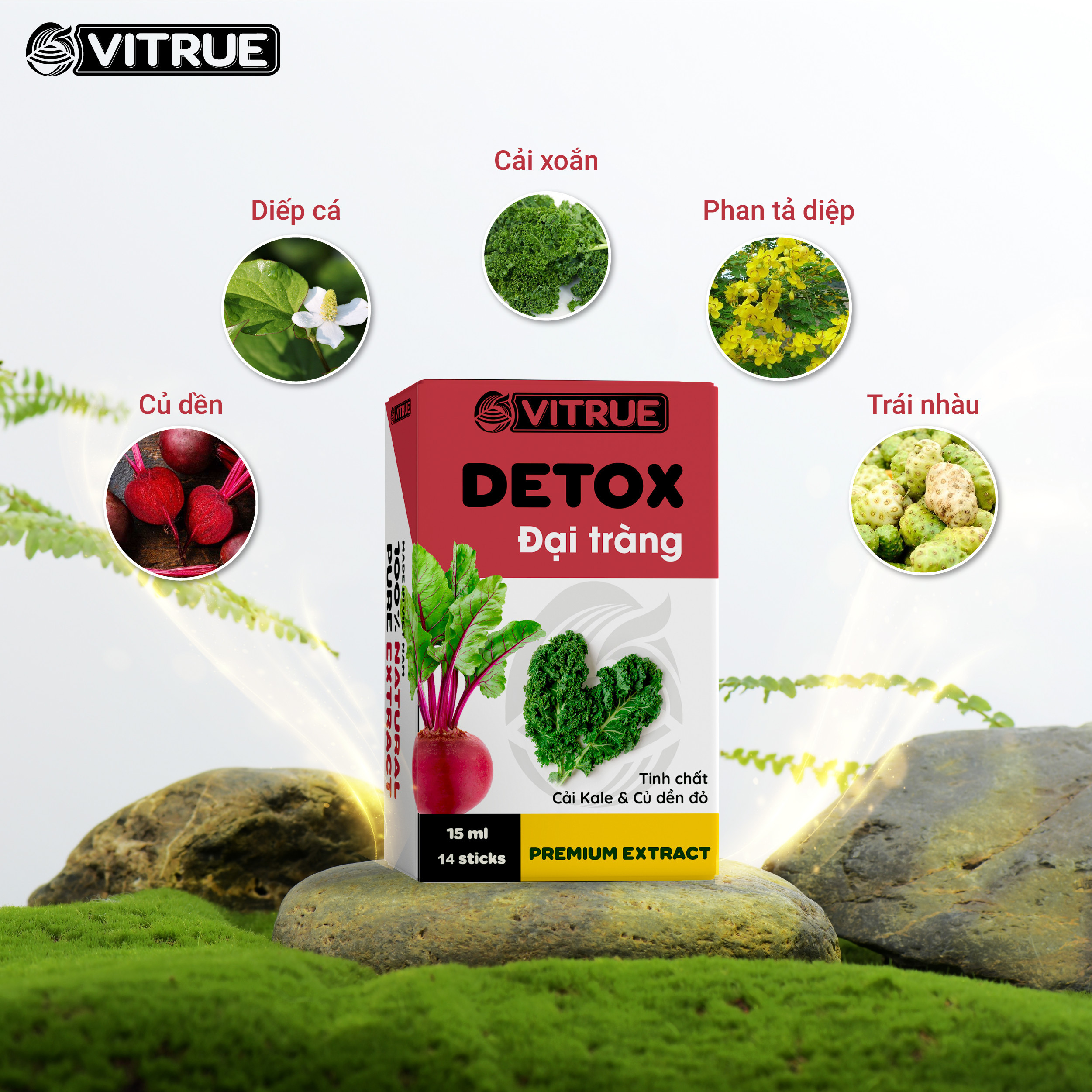 VITRUE Detox Đại Tràng