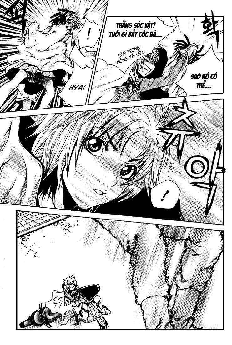 zippy ziggy chapter 12 20