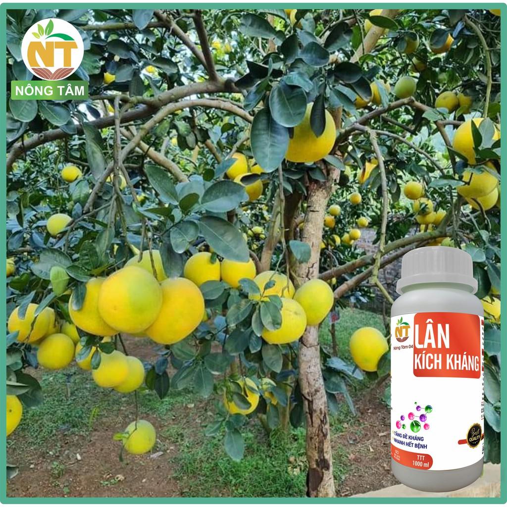 Phân bón vi lượng tăng sức đề kháng, hạn chế mầm bệnh, chuyên dùng cho cây ăn quả, chai 1000ml