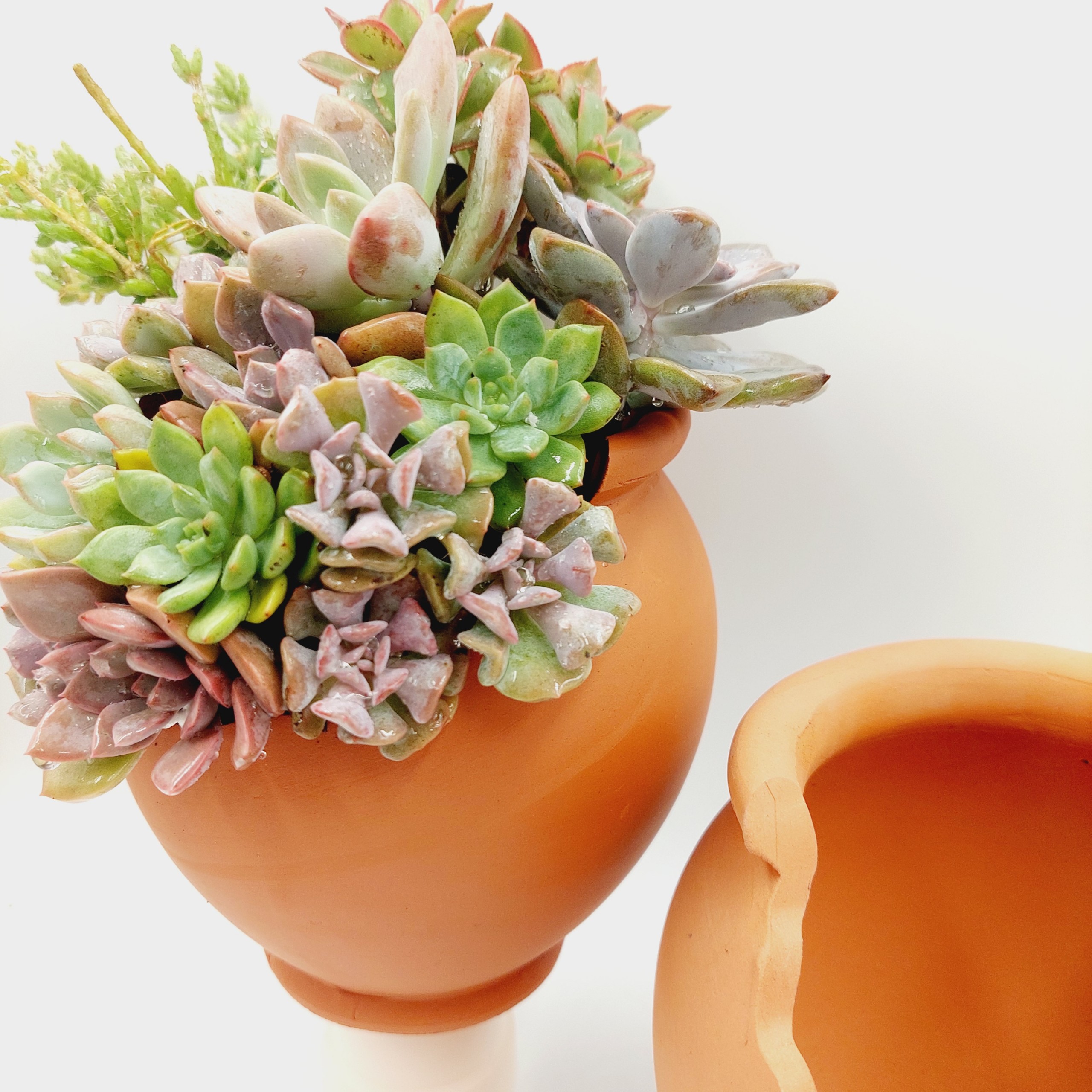 Chậu đất nung, chậu sen đá - Chum 1014, miệng chậu 10cm, chiều cao 14cm