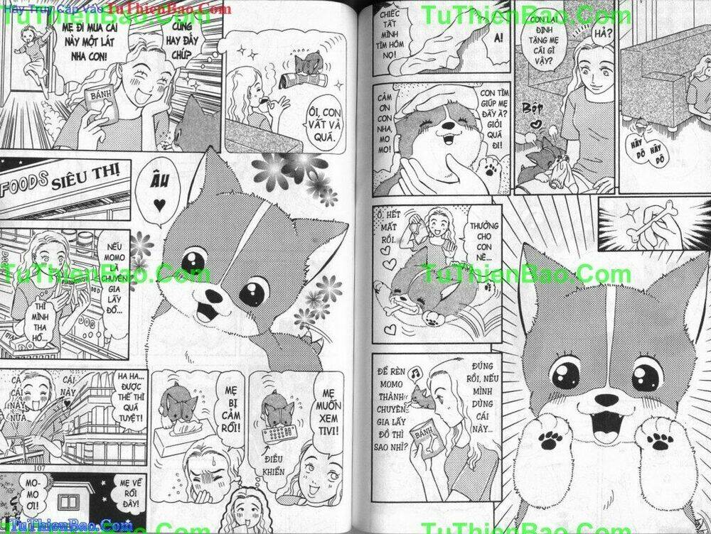 chó con mo mo chapter 4 54