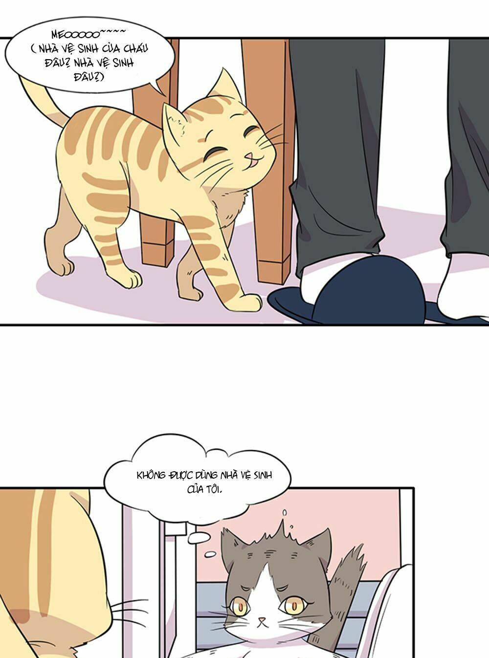 hai chú mèo totem chapter 15 9