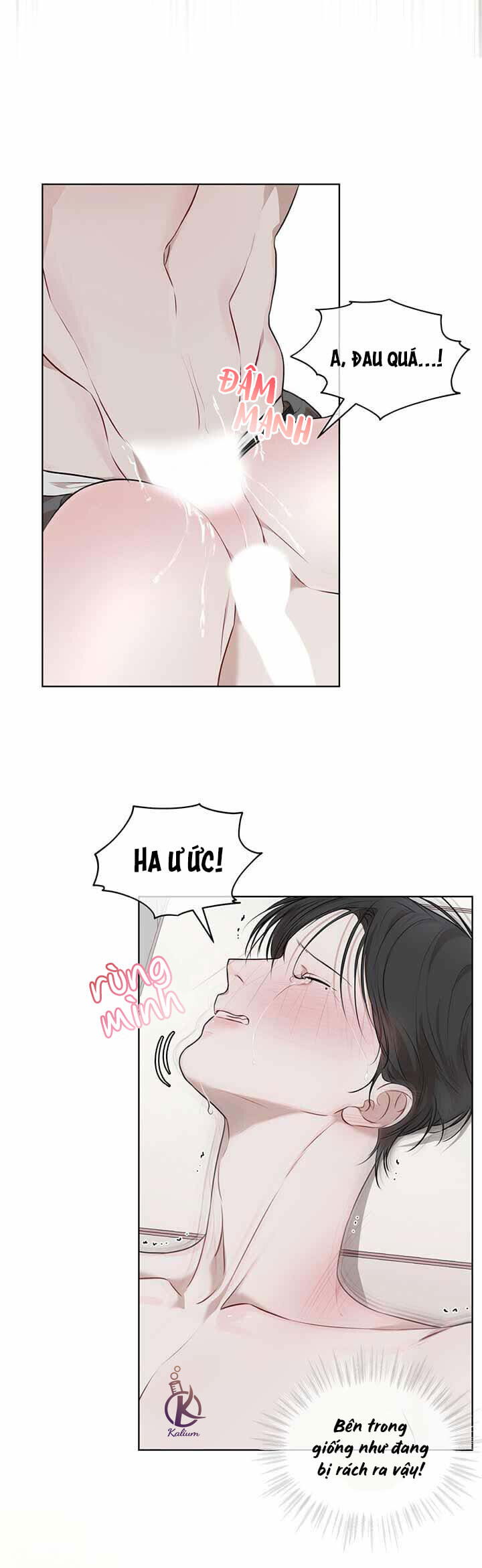 hình thái khởi sinh chapter 23 9