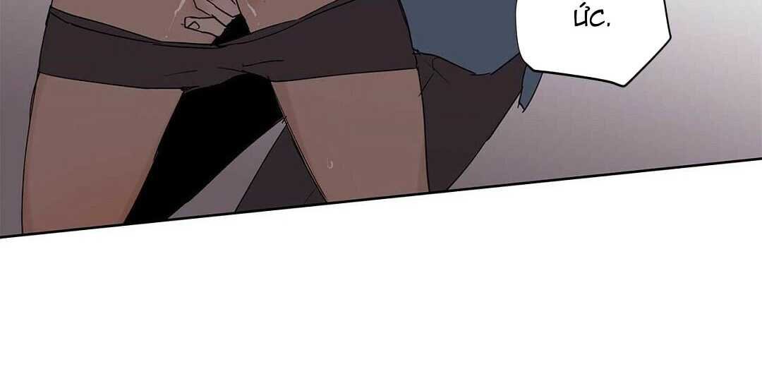 guide cấp b chapter 41 132