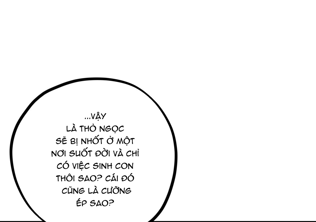 đàn thỏ của habibi chapter 21 91