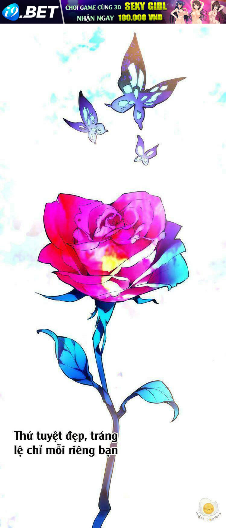 nở rộ trên bụi gai chapter 1 10