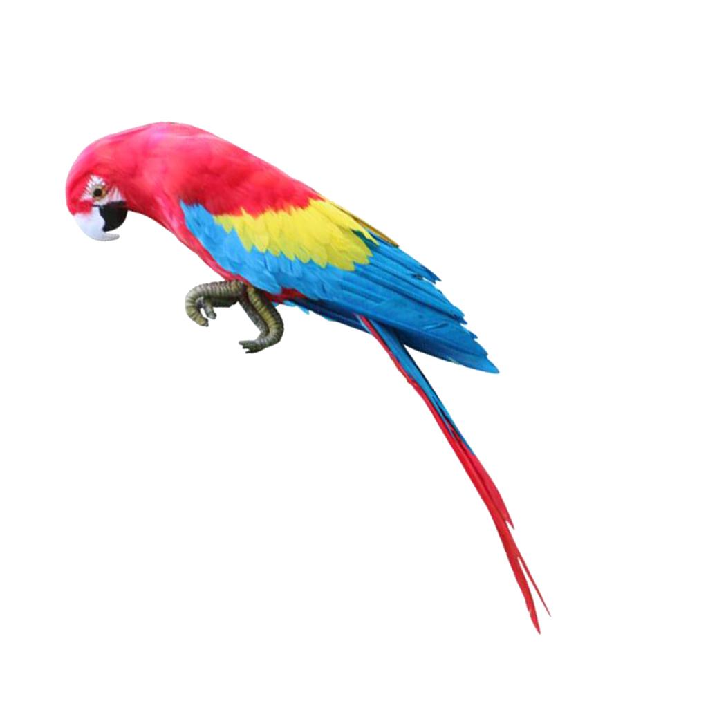 Parrot Ornament Feathered Bird Animal Figurine Garden Lawn Yard Tree Decor