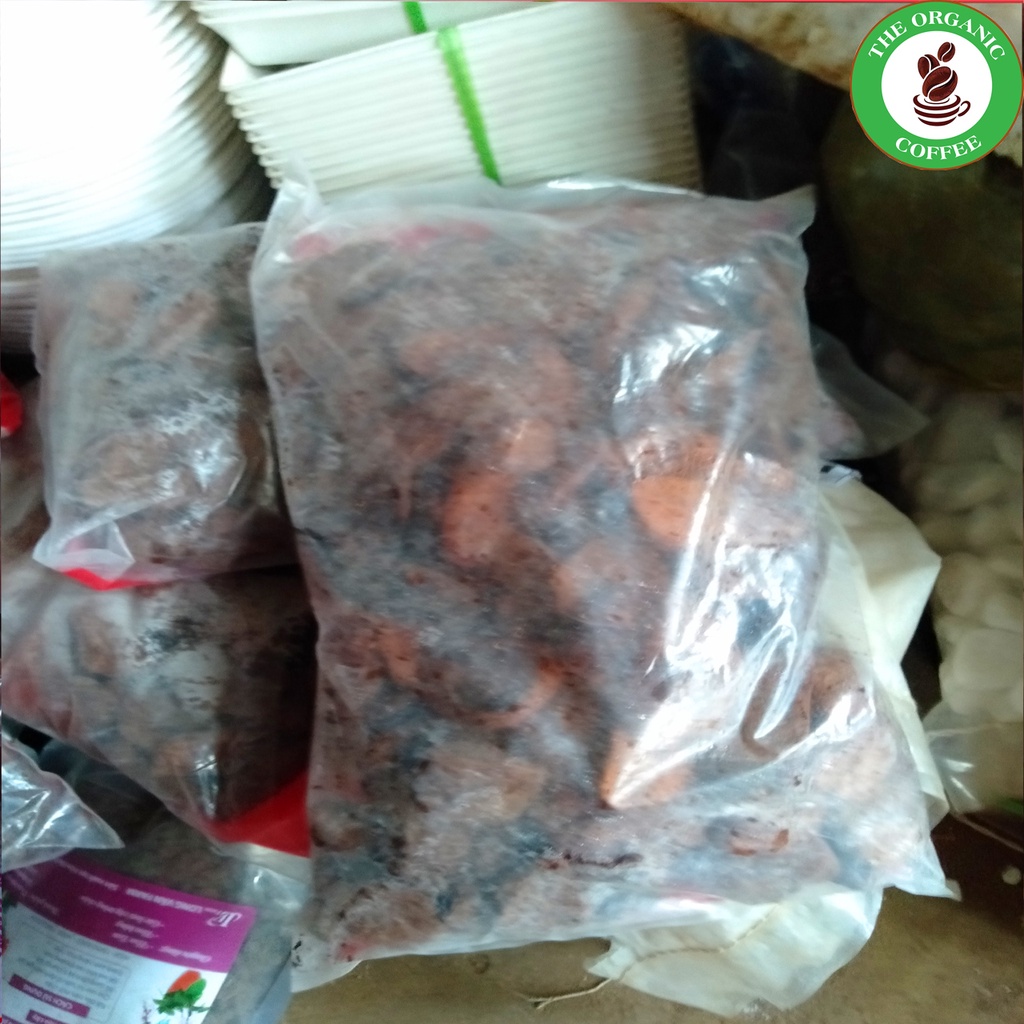 Vỏ thông các size lớn dành cho kiểng lá, gói 1kg