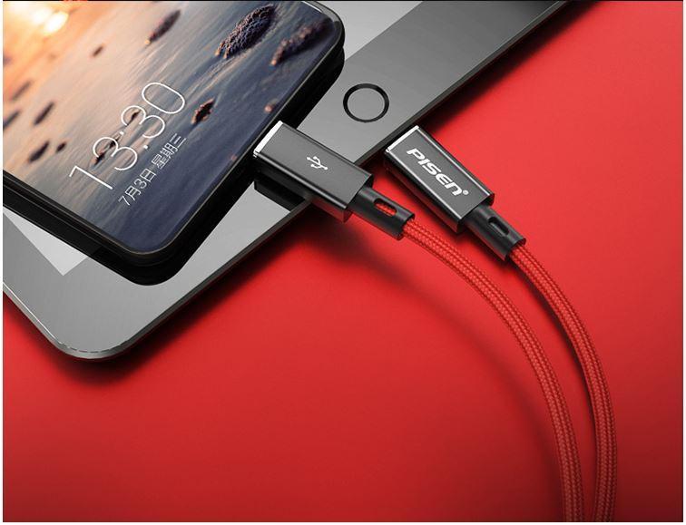 Cáp Sạc Nhanh Pisen Quick Platinum Lightning USB-C 1m