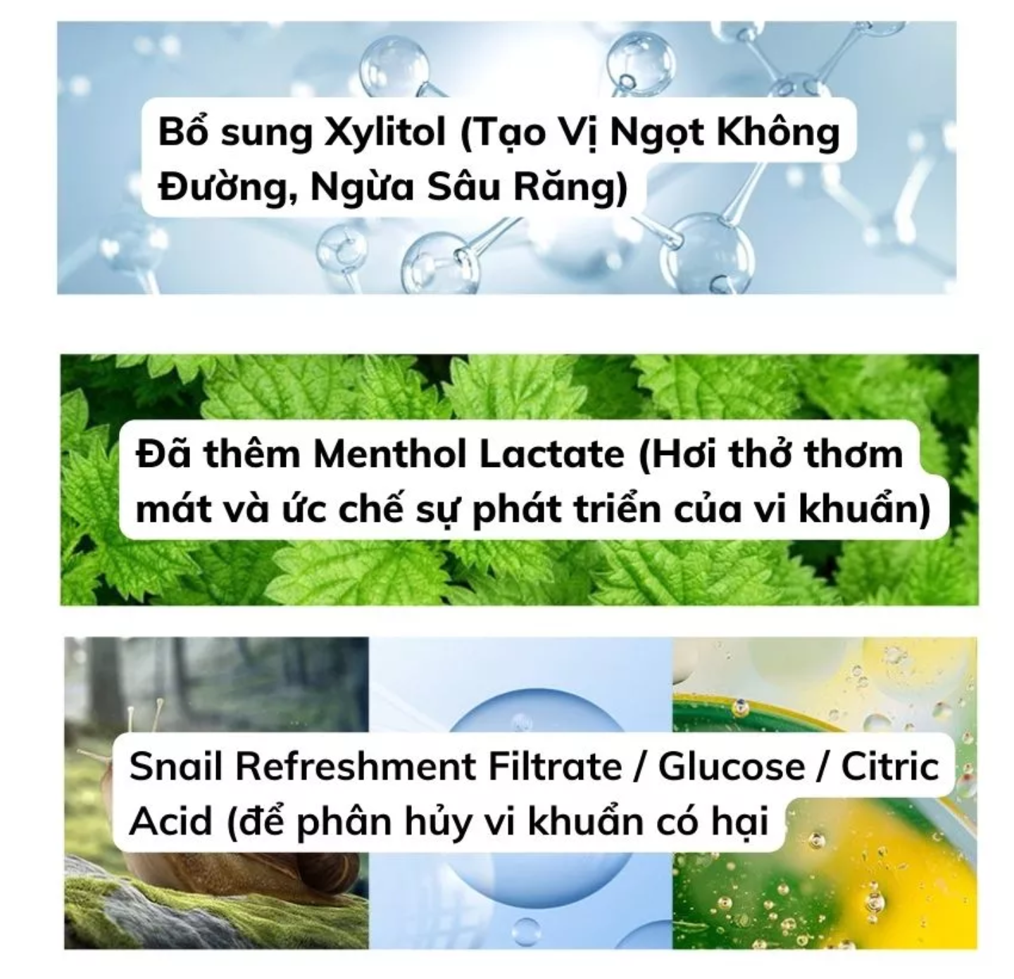 1 LỌ XỊT LÀM THƠM MIỆNG CHO NAM VÀ NỮ HƯƠNG THƠM LÂU PHAI QUYẾN RŨ CHO HƠI THỞ THƠM MÁT SẢNG KHOÁI LÊN ĐẾN 8 GIỜ HÀNG CAO CẤP LOẠI TỐT