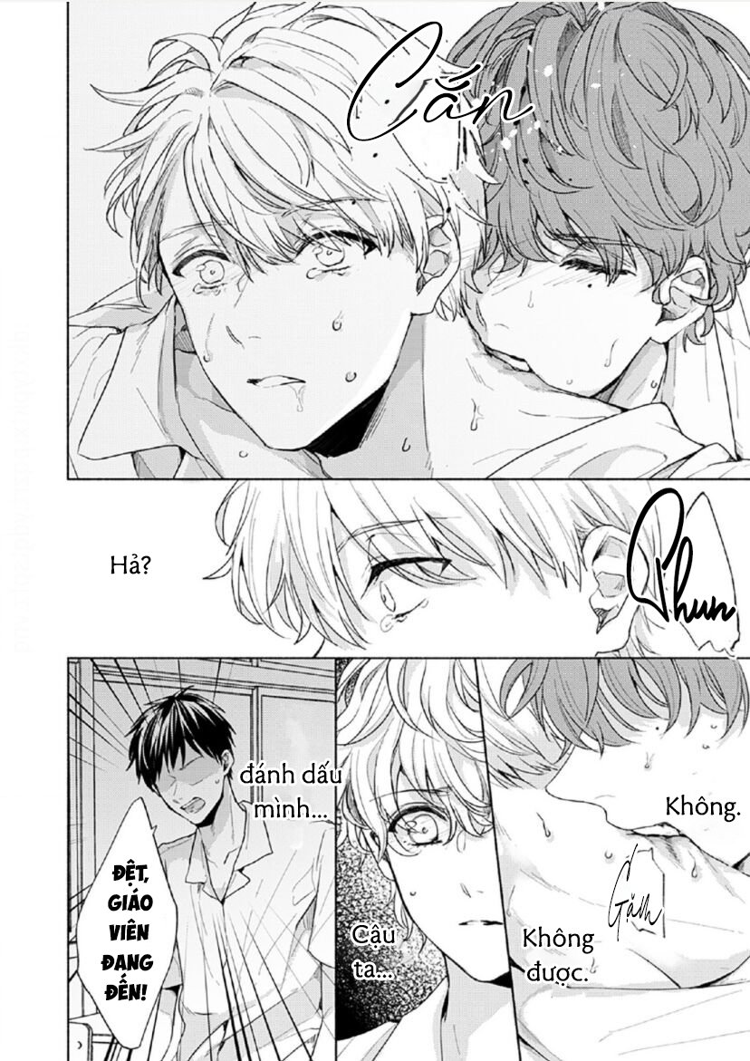 vết cắn tình đầu chapter 4 18