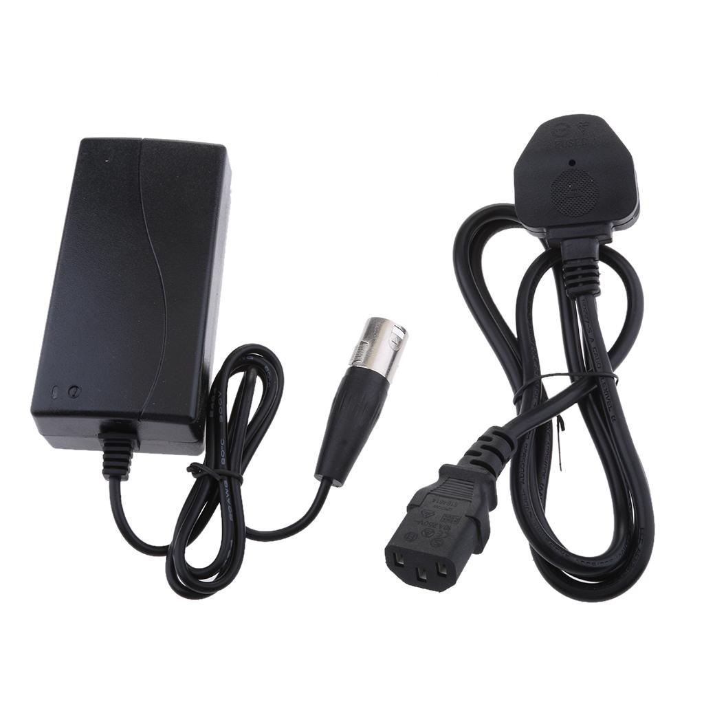 24-29.4V 2A Charger for Electric