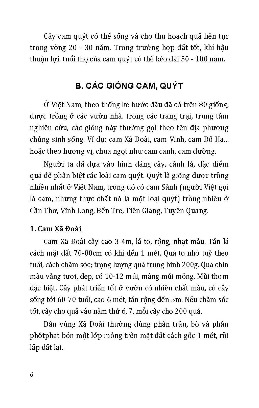 Kỹ Thuật Trồng, Chăm Sóc Cho Năng Suất Cao: Cam, Quýt, Bưởi, Táo, Na, Hồng