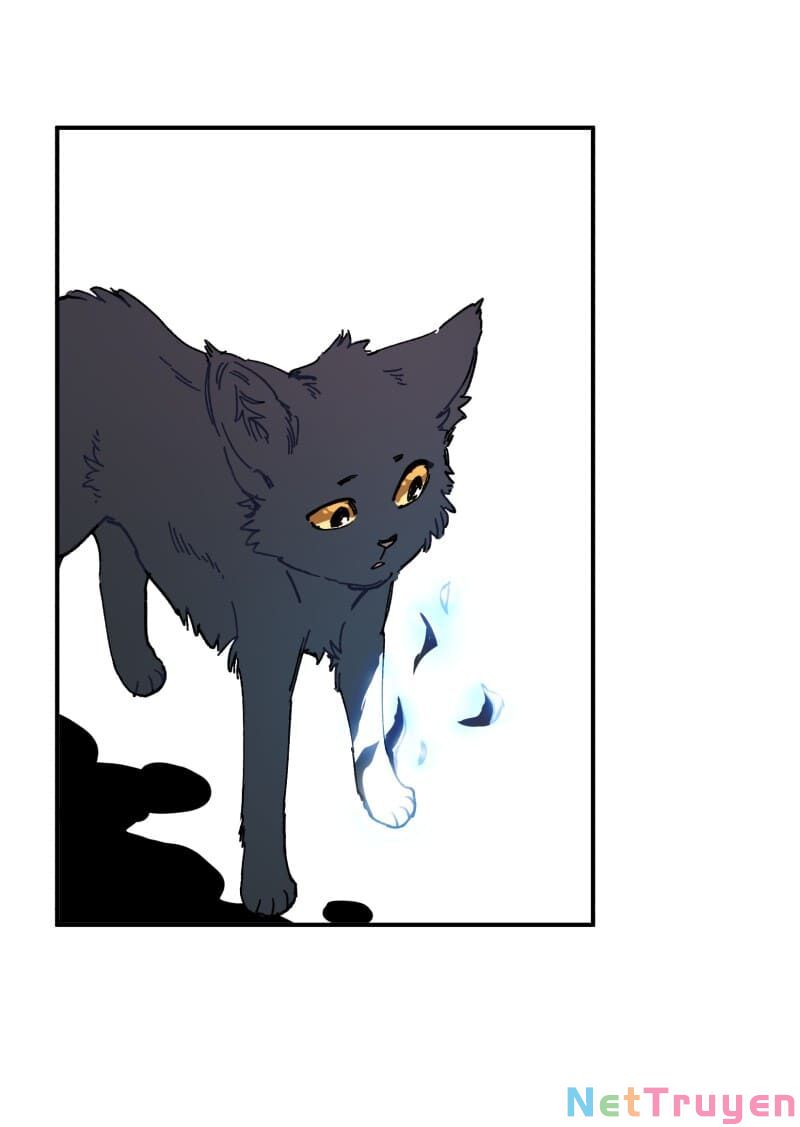 lumine - cội nguồn ánh sáng chapter 104 24