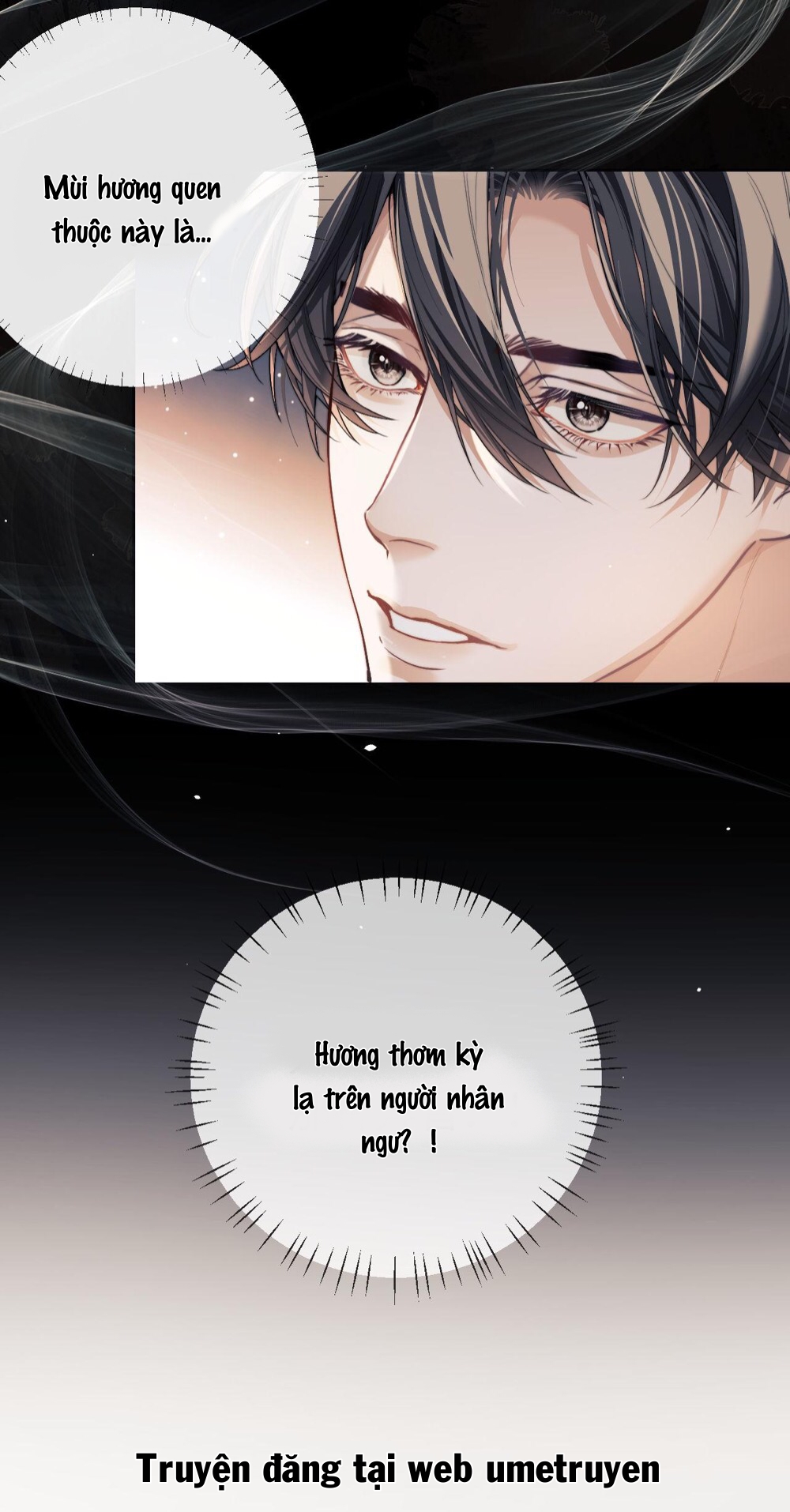 nhân ngư dessaro chapter 5 27