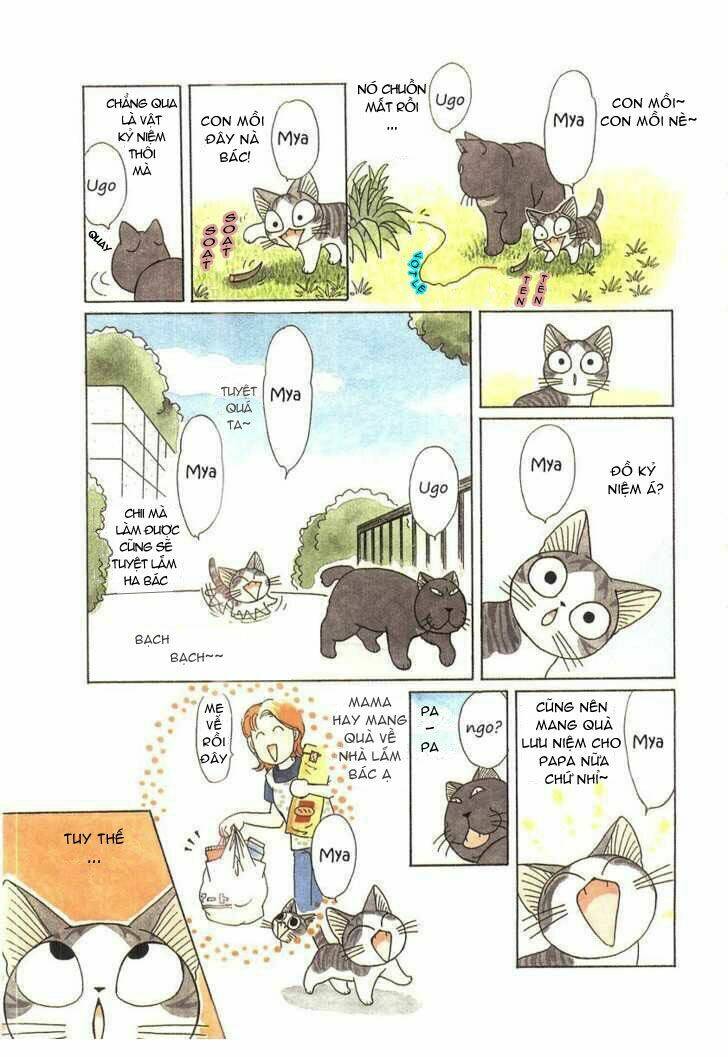chi's sweet home chapter 41 5