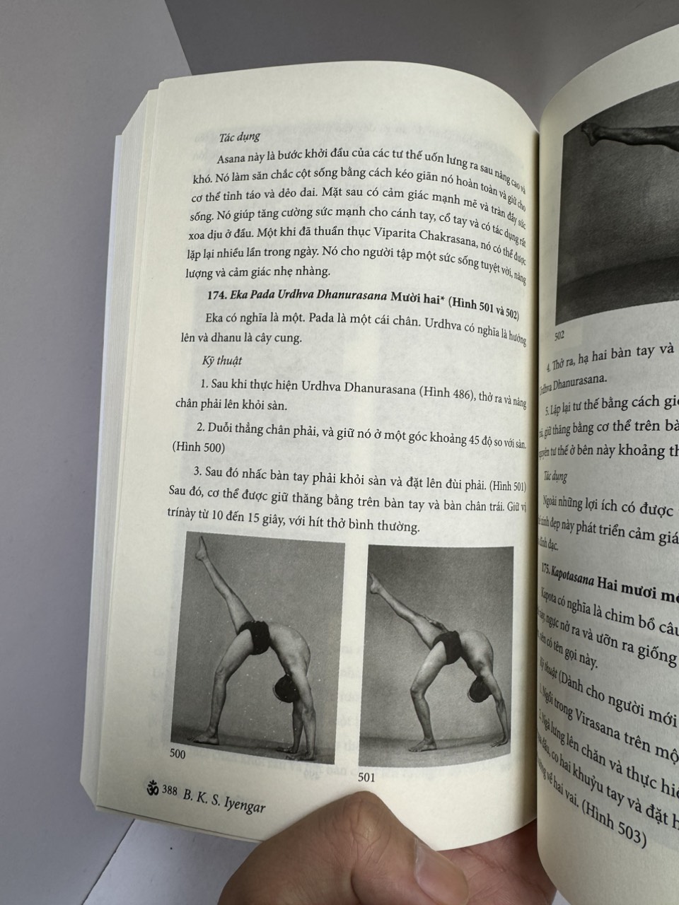 YOGA SOI SÁNG - B.K.S. IYENGAR - Phương Nam Books - NXB Thế Giới.