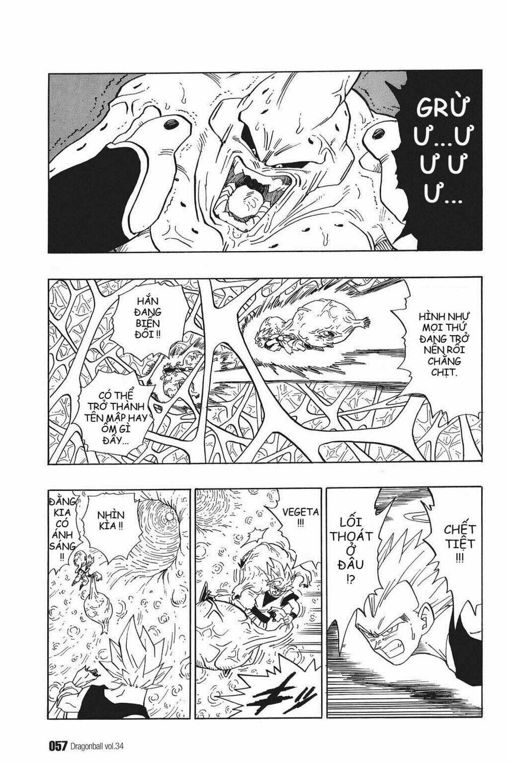 dragon ball - bảy viên ngọc rồng chapter 507 12