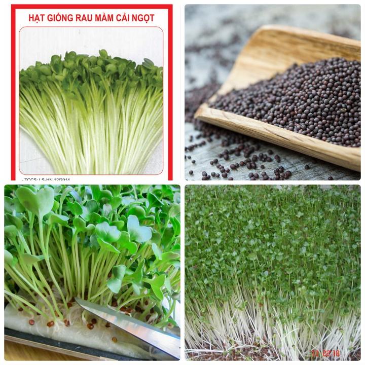 Hạt Giống Rau Mầm Cải Ngọt - Ngon Giòn - Gói 50Gr