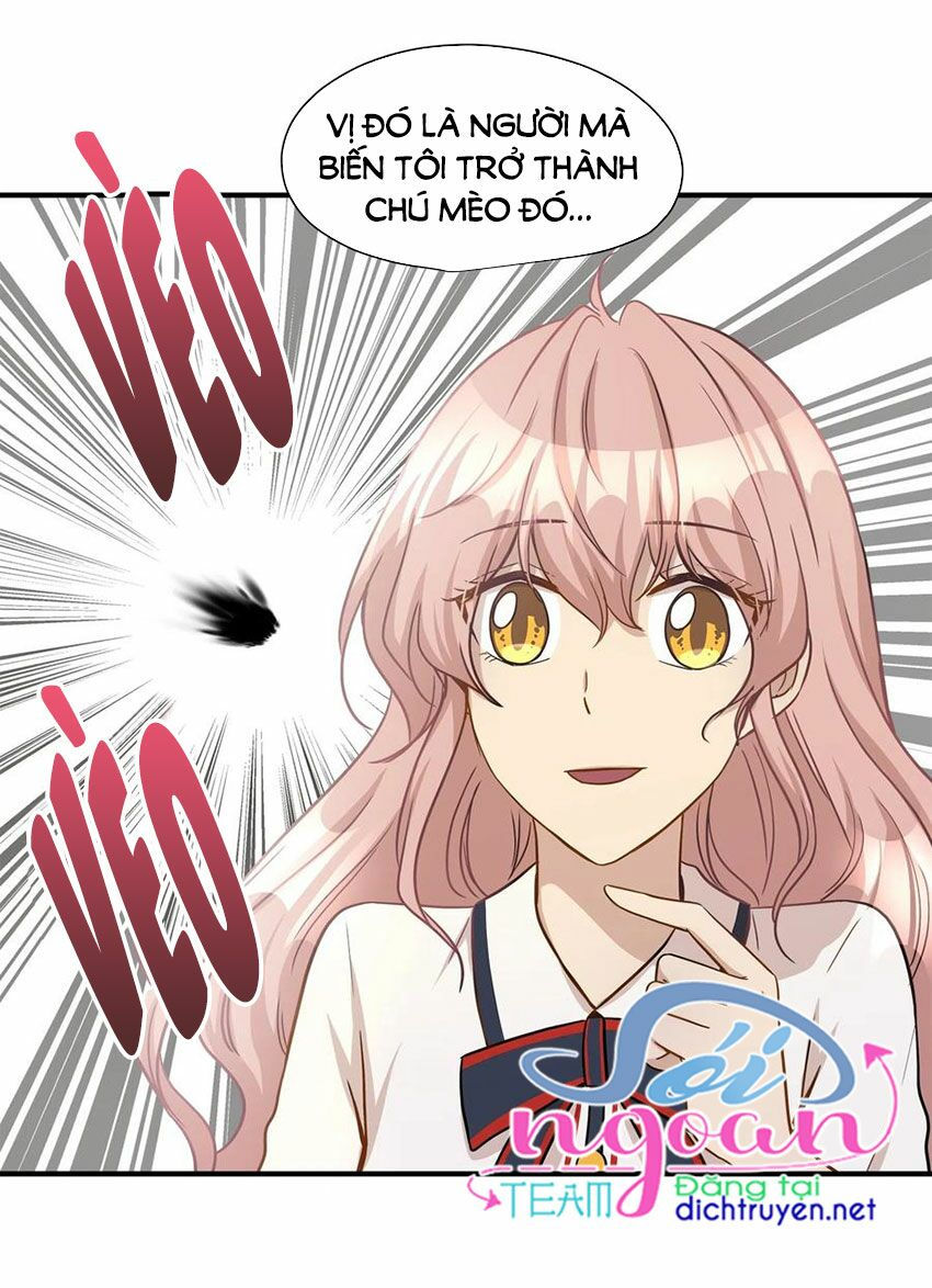 cuộc sống kỳ thú chapter 13 45