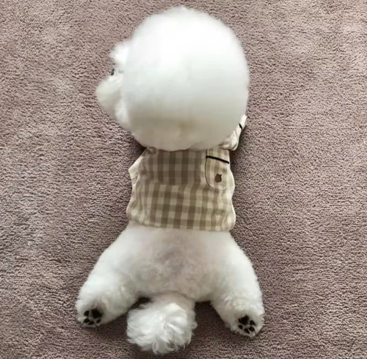 ÁO CARO SANG TRỌNG TỪ 0.2-7KG DÀNH CHO THÚ CƯNG CHÓ MÈO