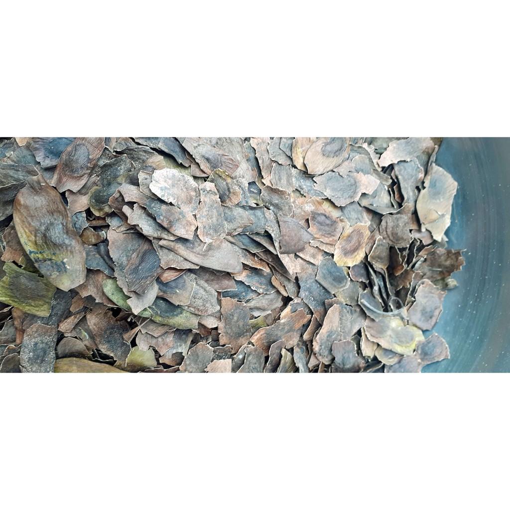 700gram sưa đỏ giống