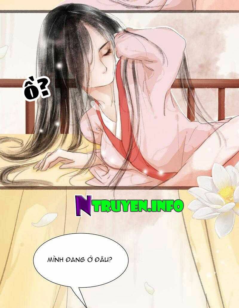 nữ phụ không điển hình chapter 1 17